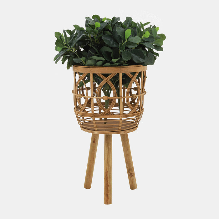 Bamboo Planter