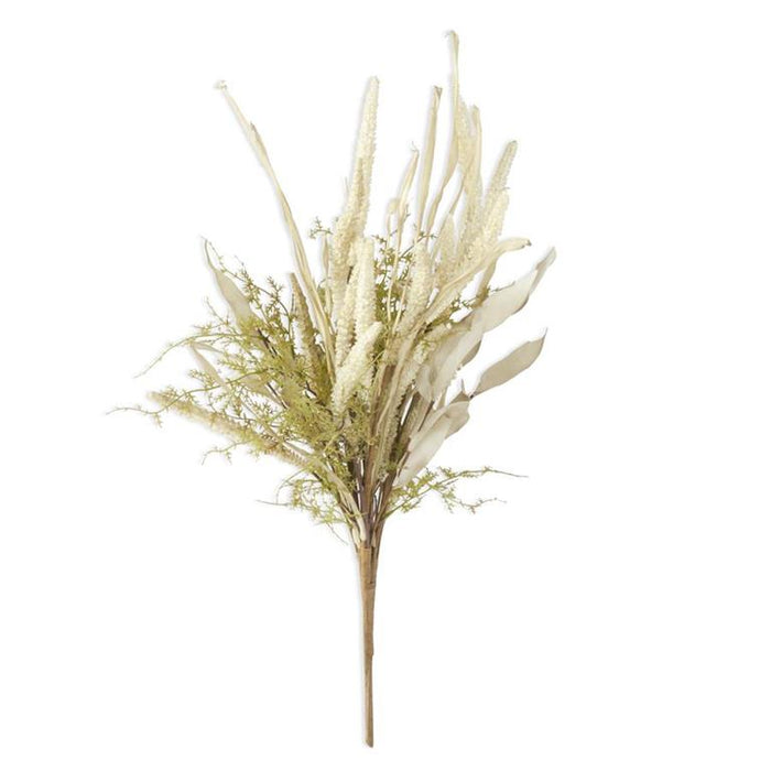 Green Asparagus Foliage Bush
