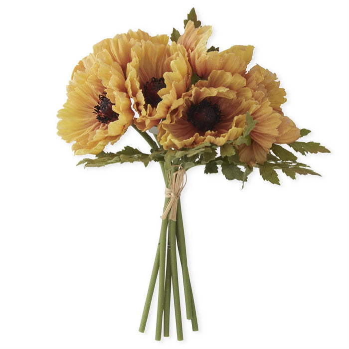 Light Orange Poppy Bundle
