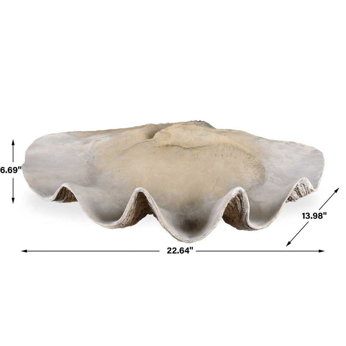 Clam Shell Bowl