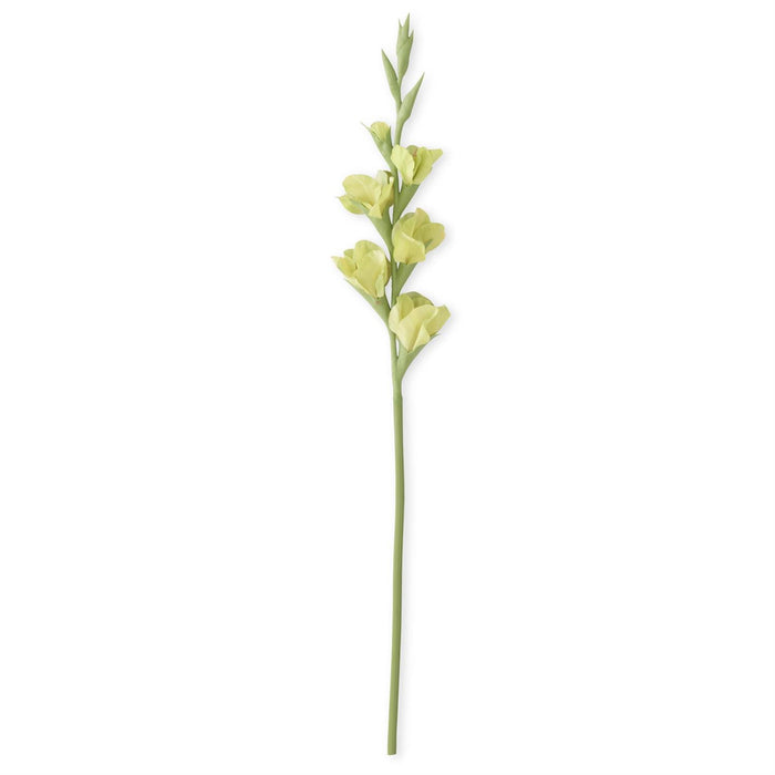 34 Inch Green Real Touch Gladiolus