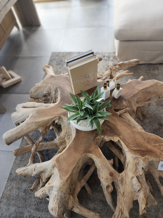60" Round Root Teak Coffee Table