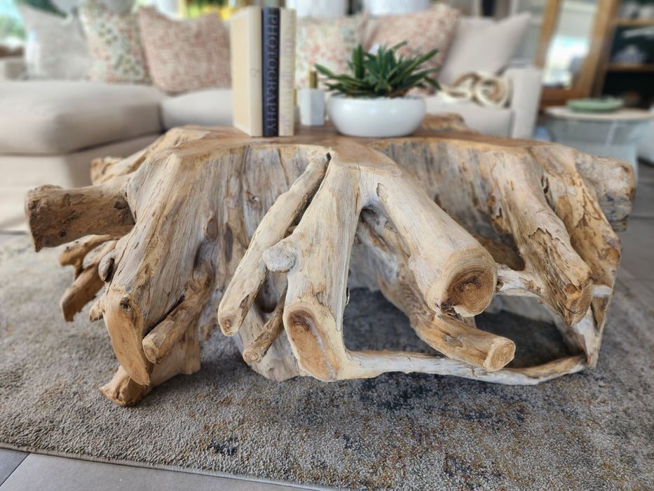 60" Round Root Teak Coffee Table