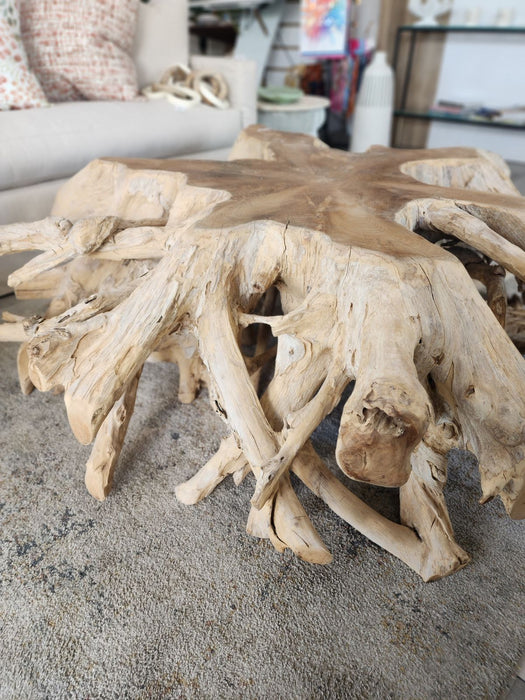 60" Round Root Teak Coffee Table