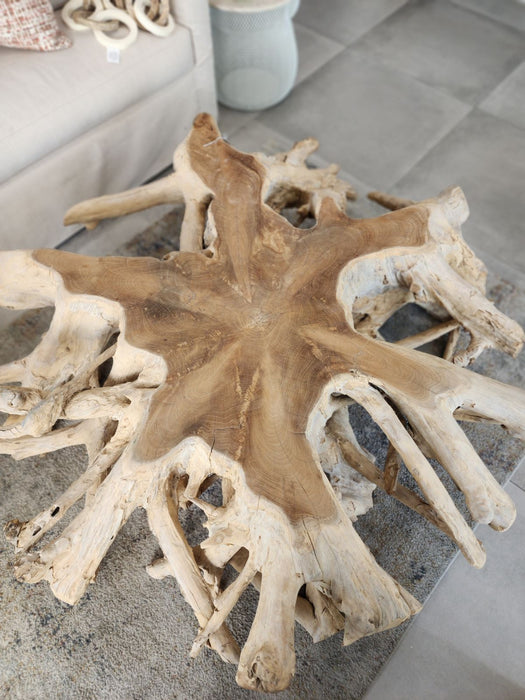 60" Round Root Teak Coffee Table