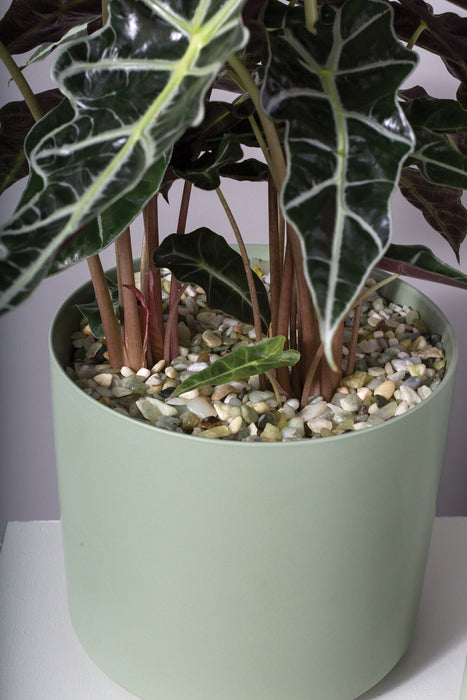 Light Green Natural Stones