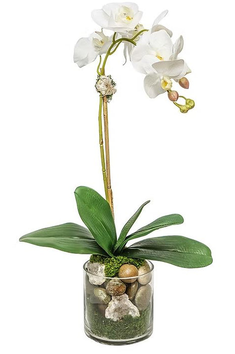 Orchid with Crystal in Glass