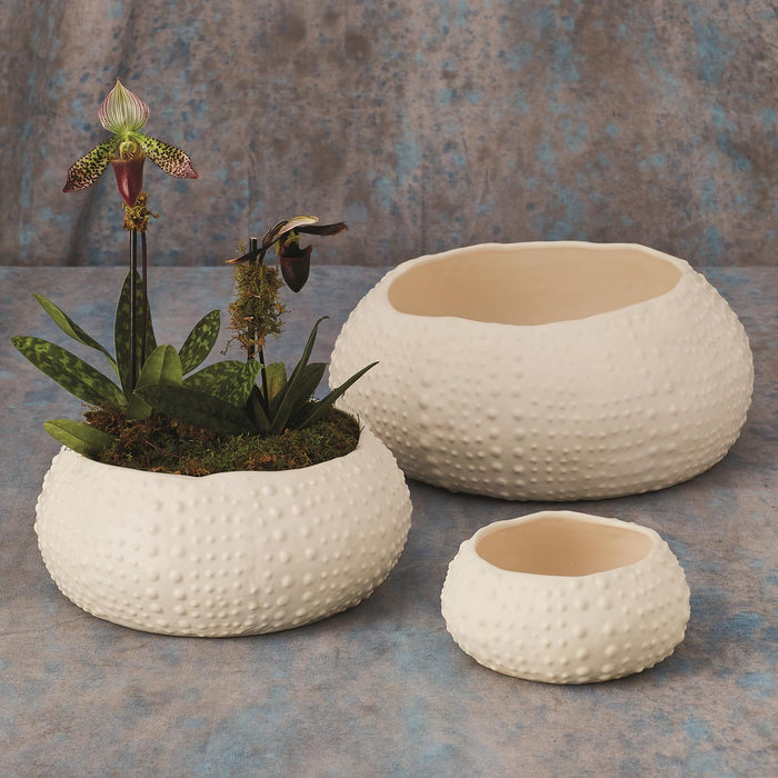 Ceramic Urchin Bowl - Matte White