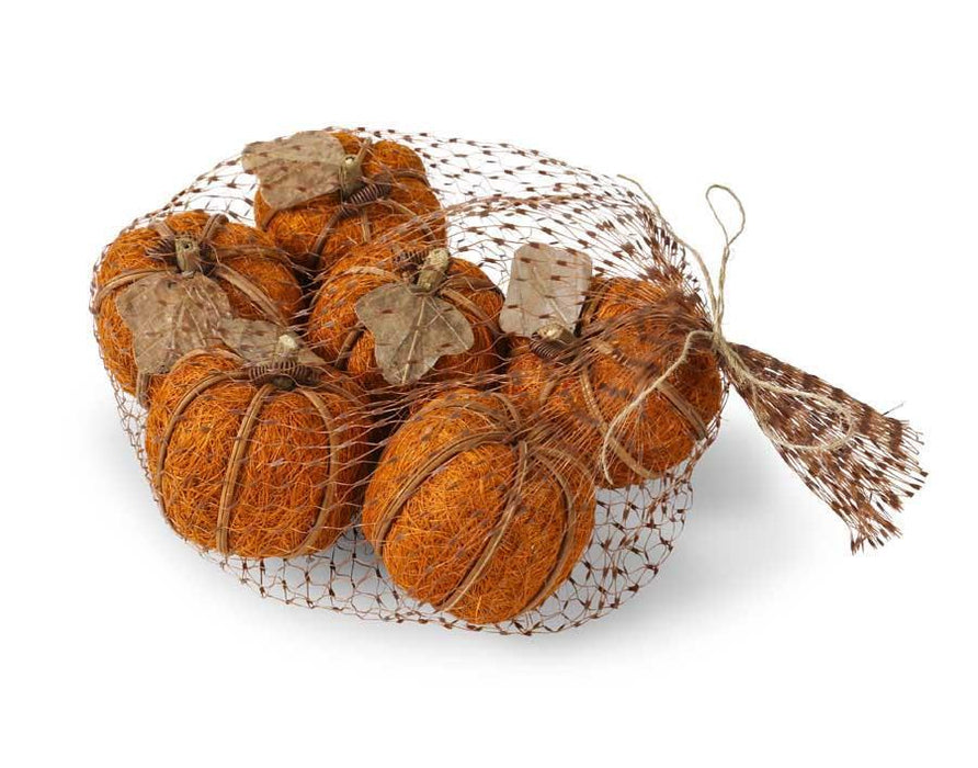 Bag Of 6 Orange Husk Pumpkins