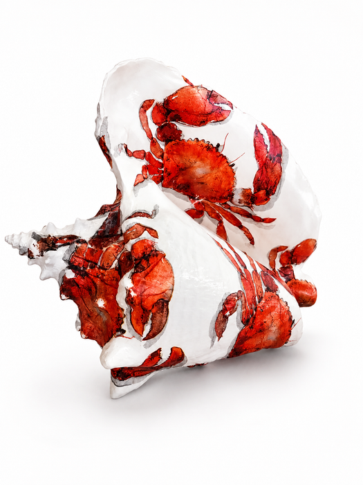 Red Crab Conch Shell