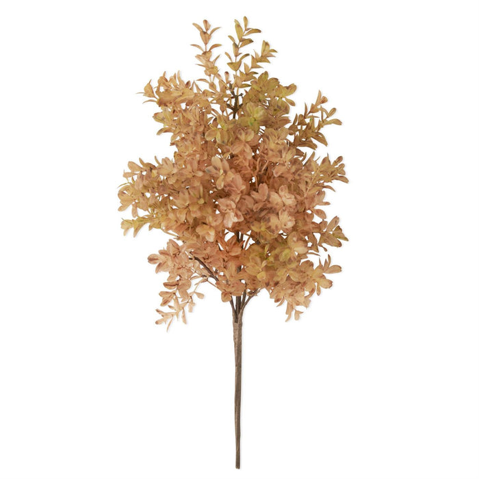 Brown w/Green Myrtle Bush