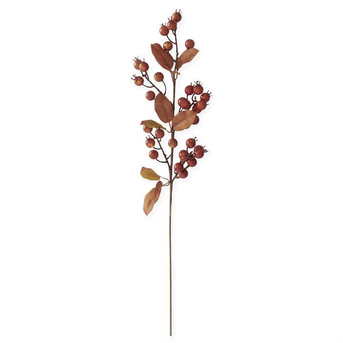 Dark Orange Berry Stem