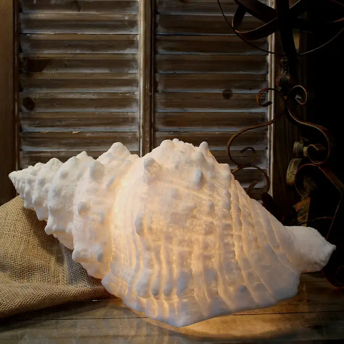Conch Shell Lamp