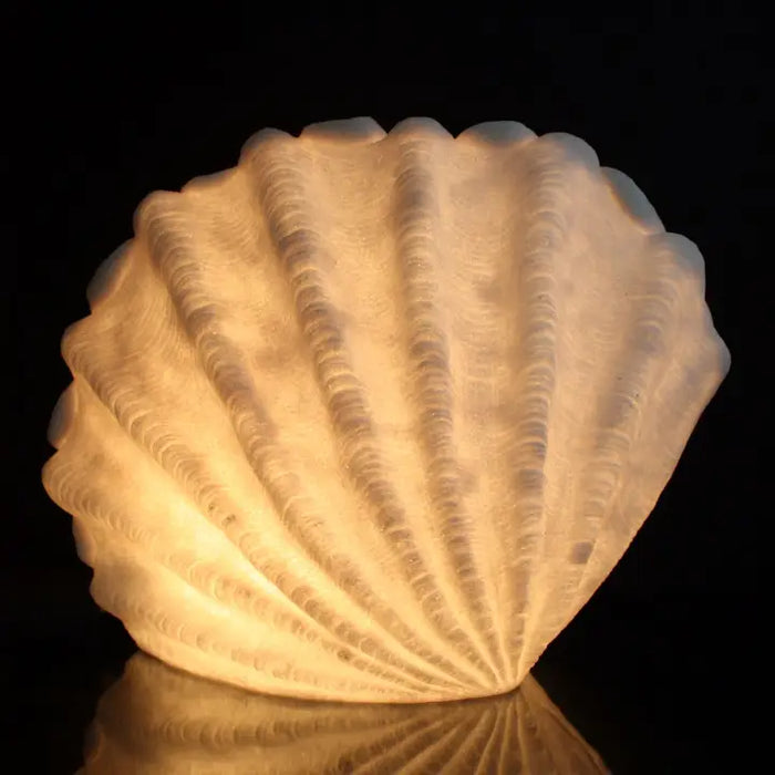 Standing Shell Lamp