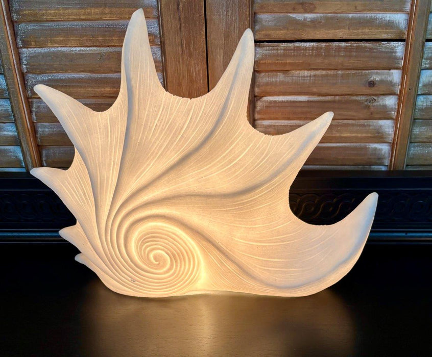Waved Shell Lamp