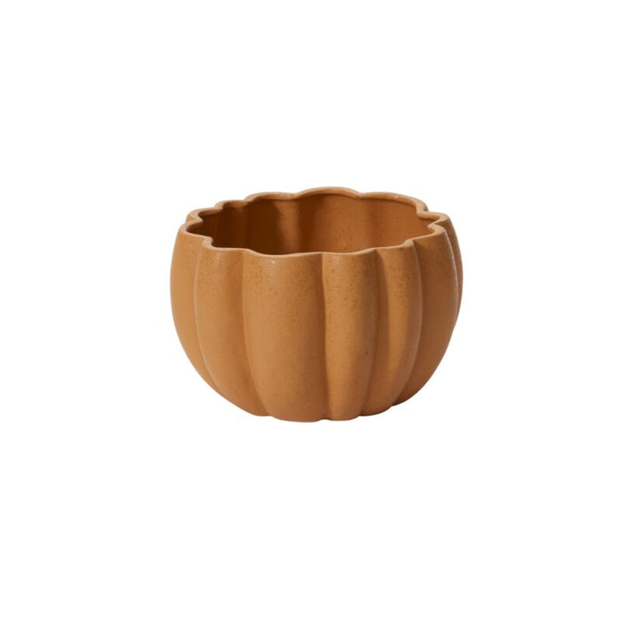 Spiced Pumpkin Pot - Large