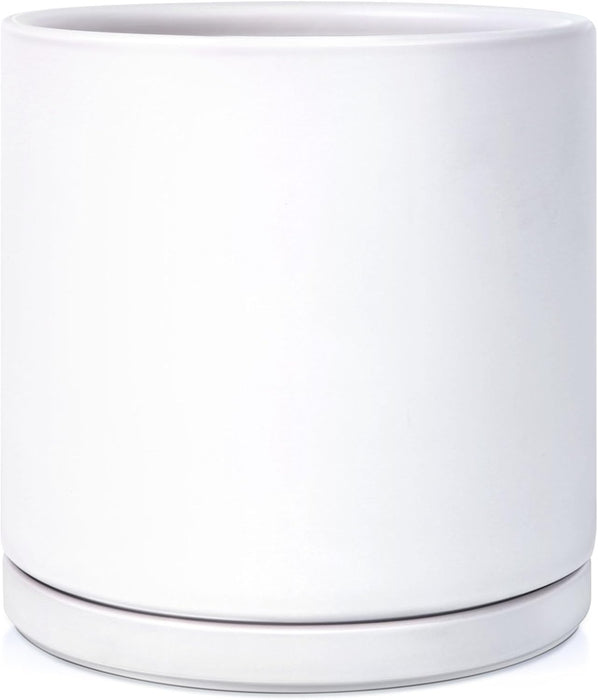 Modern White Ceramic Plant Pot