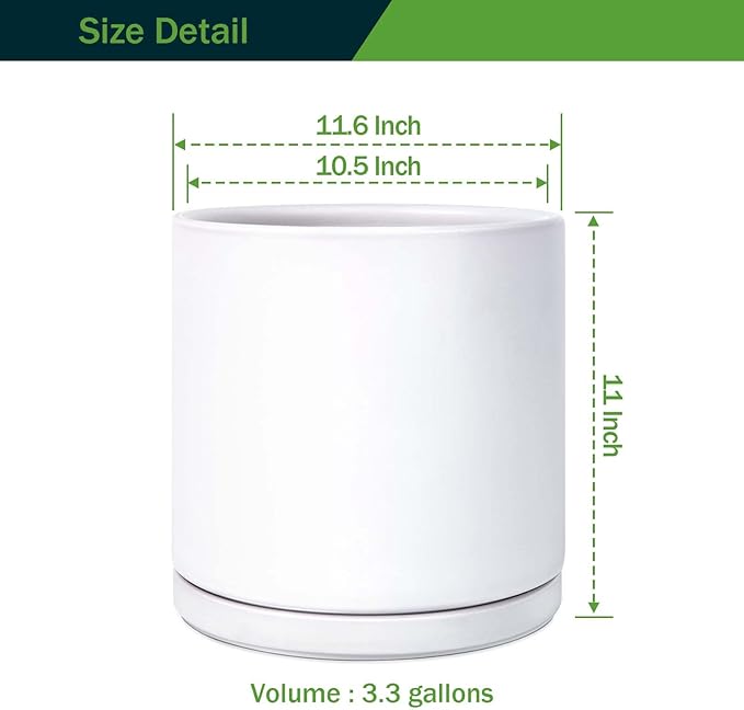 Modern White Ceramic Plant Pot