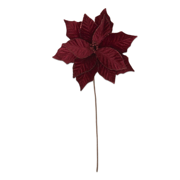 Red Poinsettia Stem
