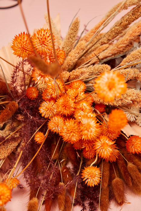 Dried Eryngium - Orange