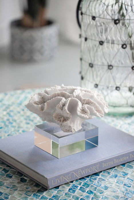 Faux Lettuce Coral on Glass Base