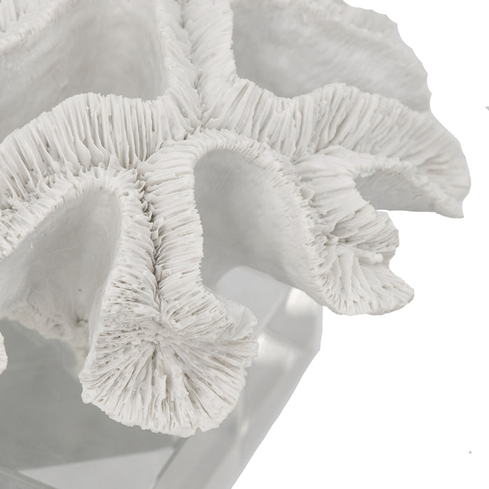 Faux Lettuce Coral on Glass Base