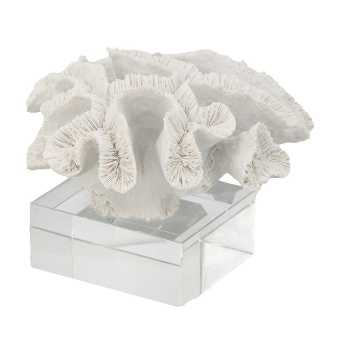 Faux Lettuce Coral on Glass Base