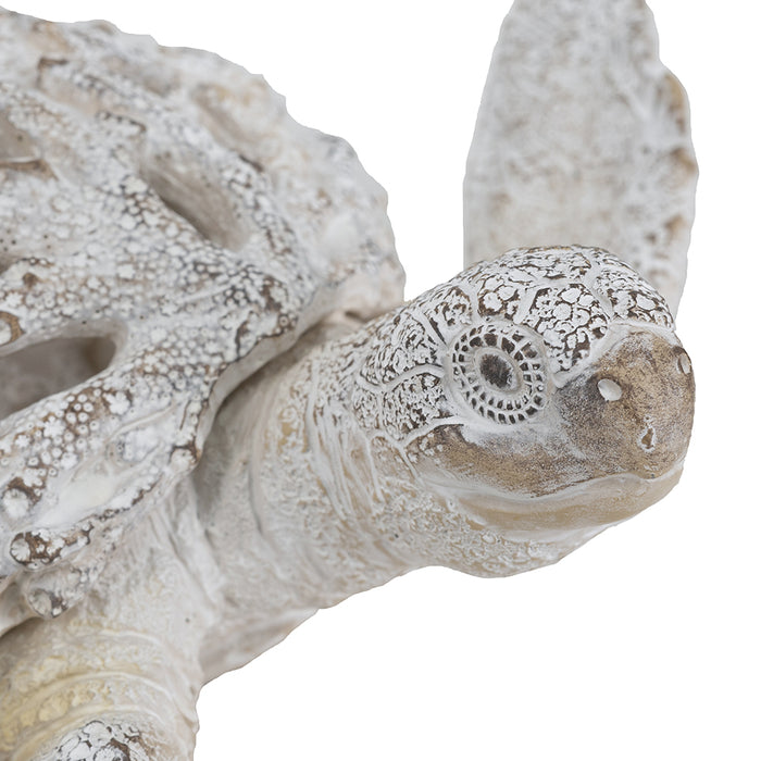 Coral Reef Sea Turtle Statue