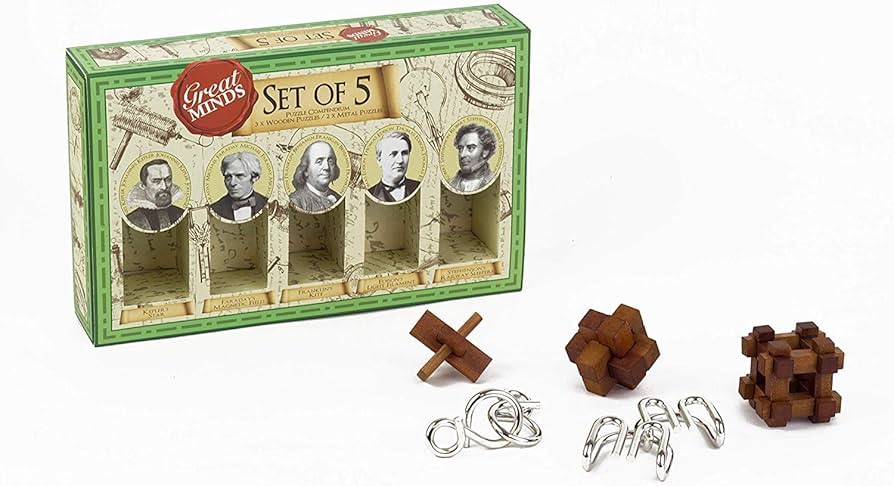 Set Of 5 Metal & Wood Puzzles - Great Minds