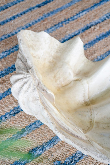 Large Clam Shell