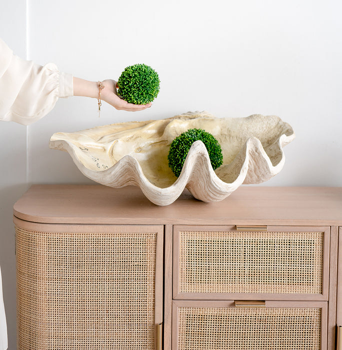 Large Clam Shell