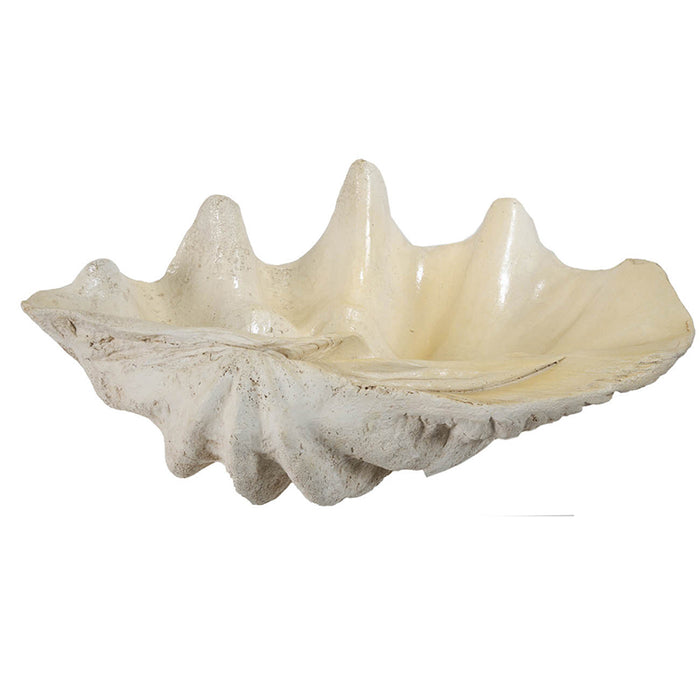 Large Clam Shell