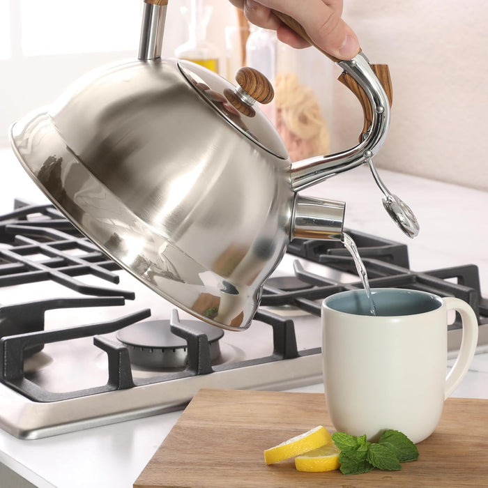 Mr. Coffee Woodmont 2Qt. Tea Kettle