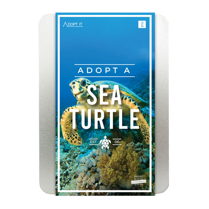Adopt A Sea Turtle Guide