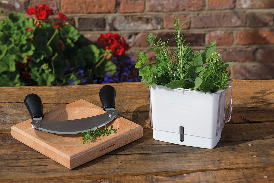 Cole & Mason Fresh Herb Keeper
