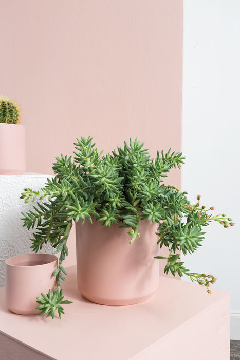 Light Pink Kendall Large Pot