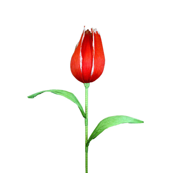65" Giant Tulip