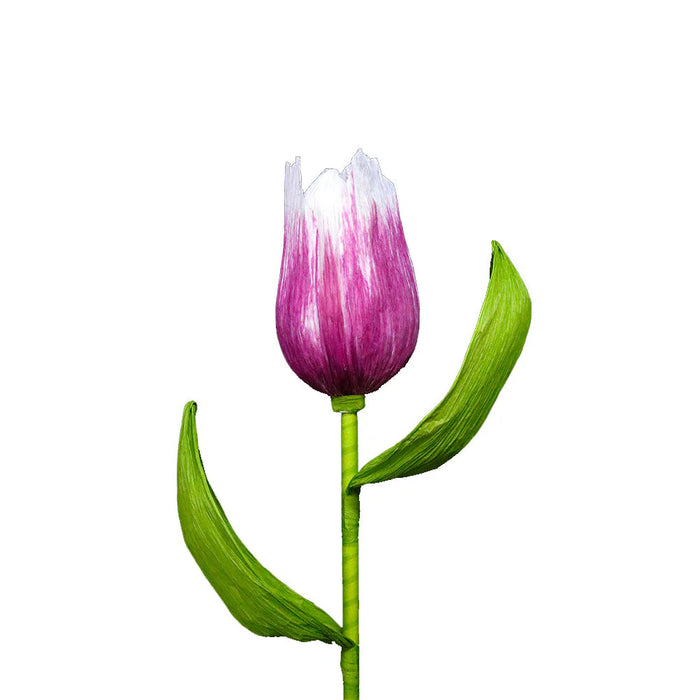 38" Giant Tulip