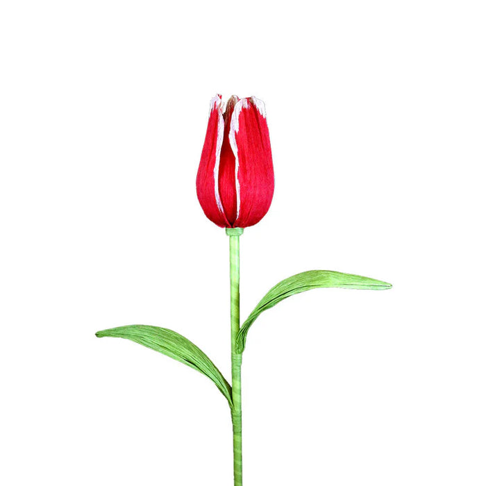 38" Giant Tulip