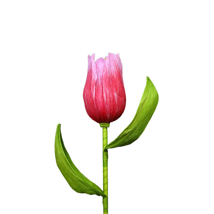 38" Giant Tulip