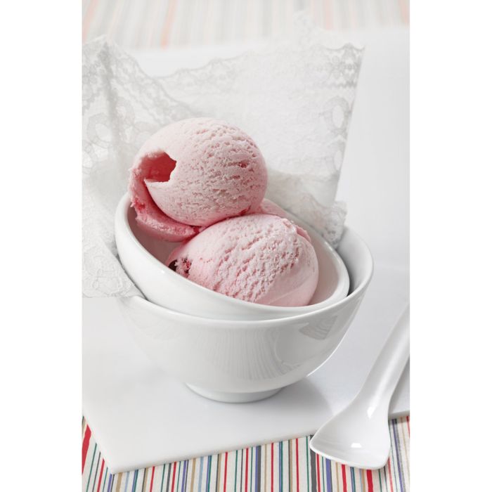Nonstick Anti-Freeze Scoop