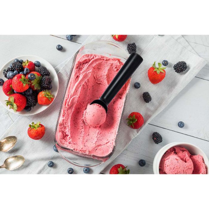 Nonstick Anti-Freeze Scoop