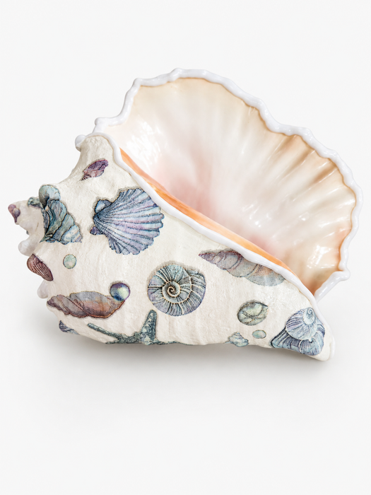 Blue Sea Shell Conch Shell
