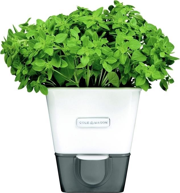 Cole & Mason Self-Watering Herb Keeper