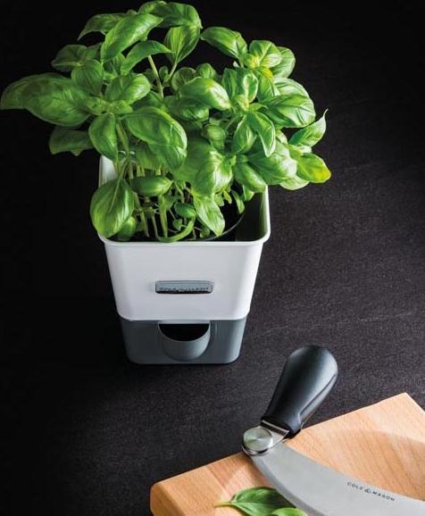 Cole & Mason Self-Watering Herb Keeper