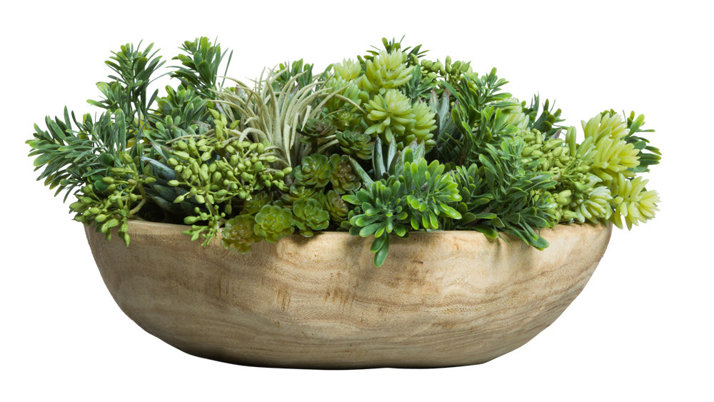 Assorted Succulent In Wood Bowl