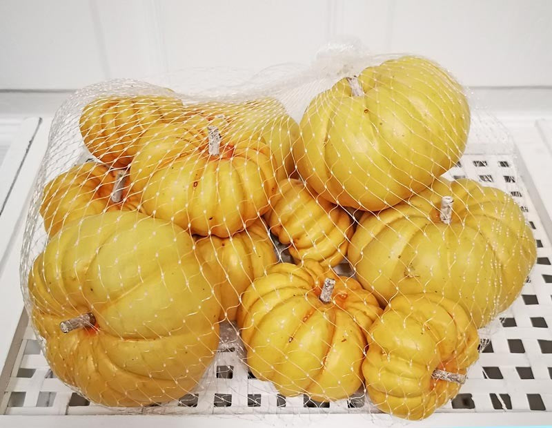 12pc Bagged Assorted Pumpkins