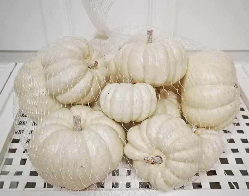 Assorted Pumpkins