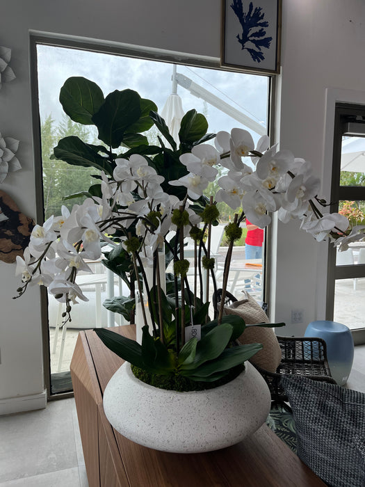 Orchids In Terrazzo Bowl