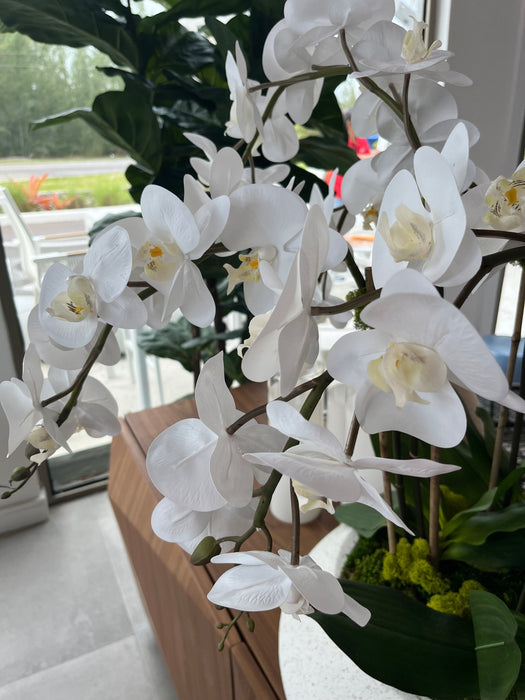 Orchids In Terrazzo Bowl